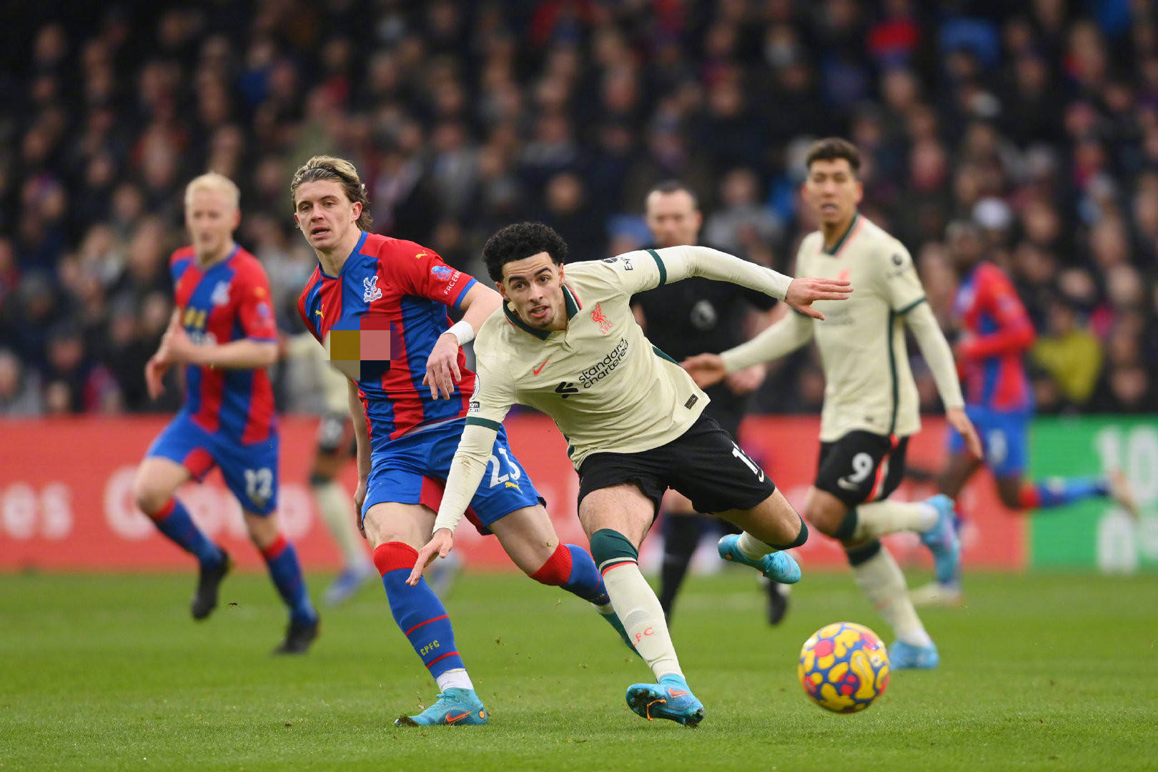 能摆脱目前 能摆脱目前